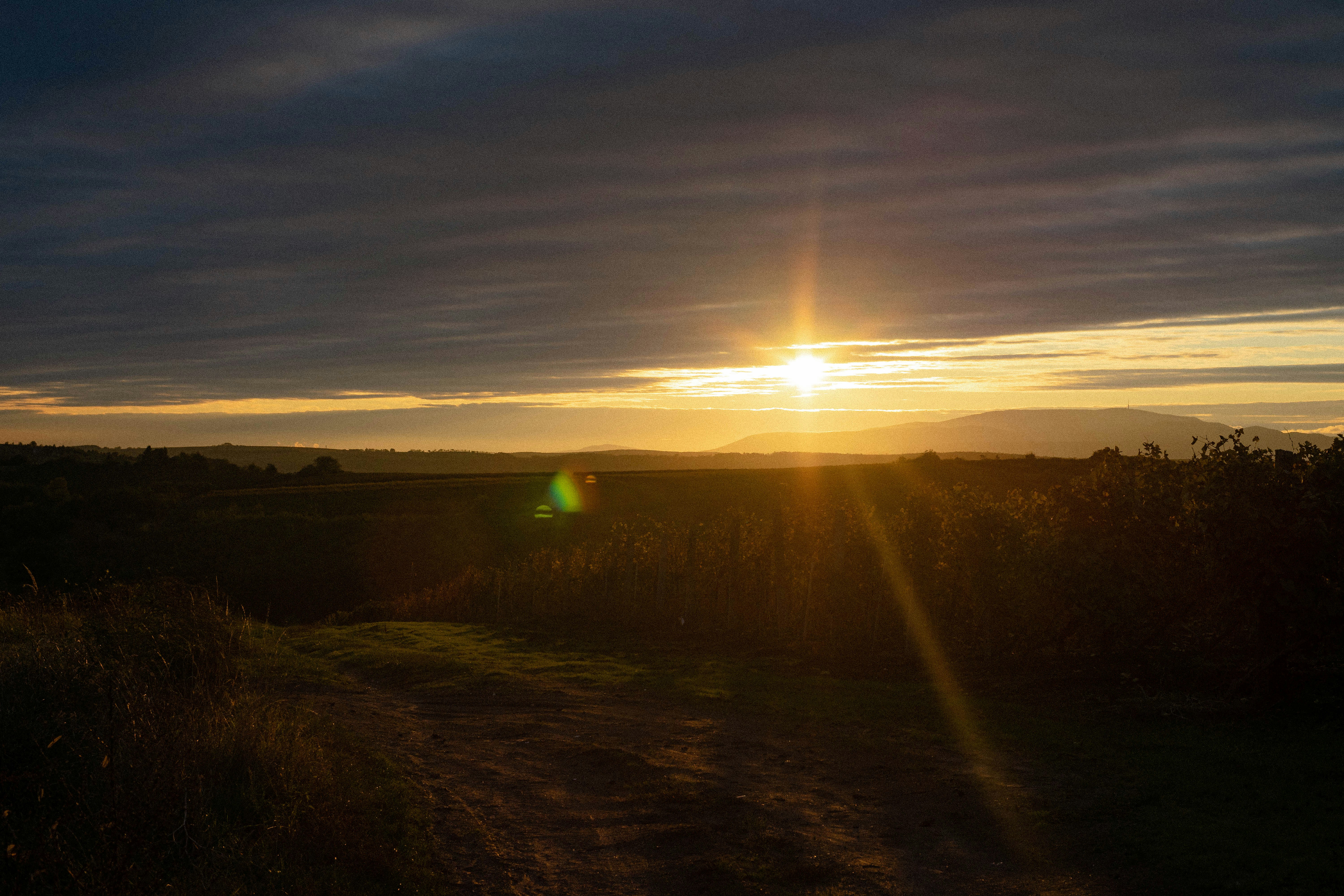 Eger – Neighborhoods & Urban Structure