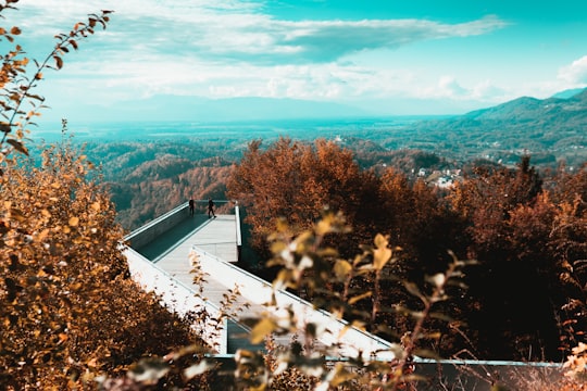 green trees and mountains under blue sky during daytime in Kamnik Slovenia