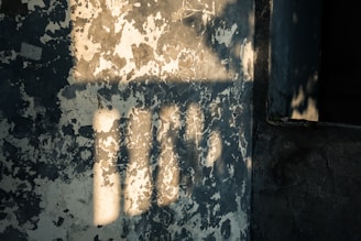 Monochrome photo of an old, textured wall with peeling paint and deep shadows.