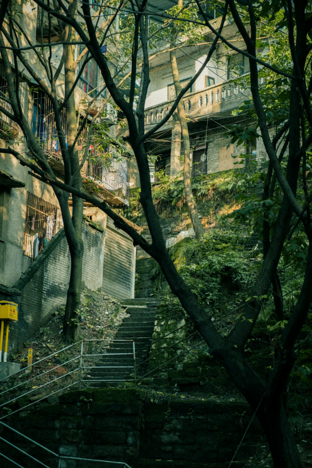 green trees near white concrete building during daytime