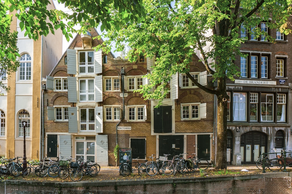 Bâtiment en béton brun et blanc près d’arbres verts pendant la journée