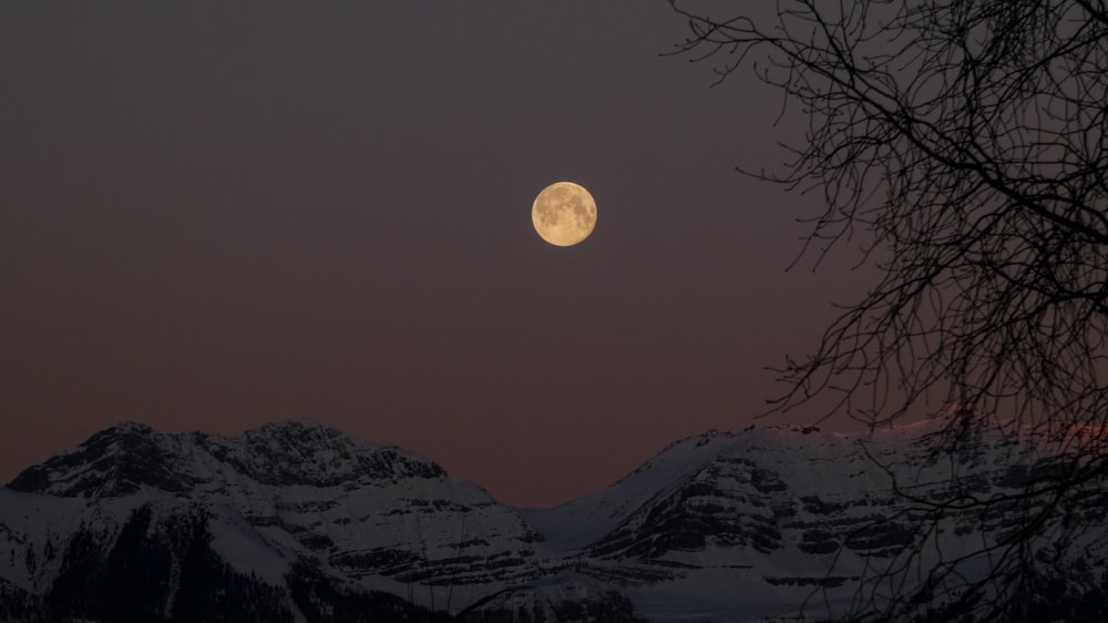 Schneebedeckte Berge tagsüber