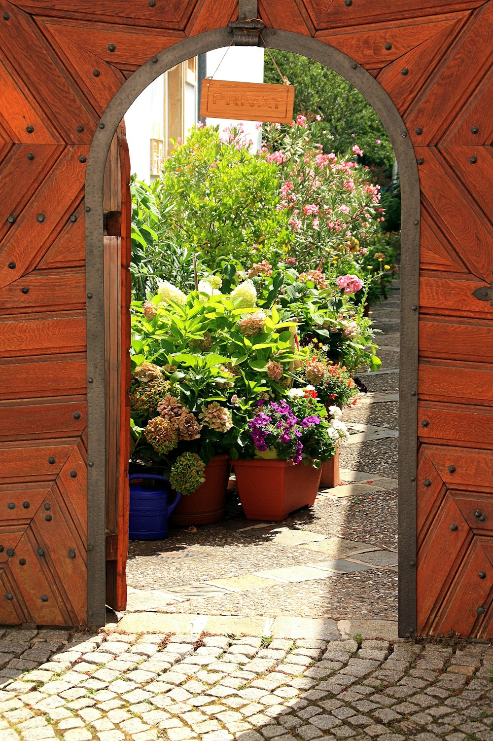 fleur rouge et verte sur pot en argile brune