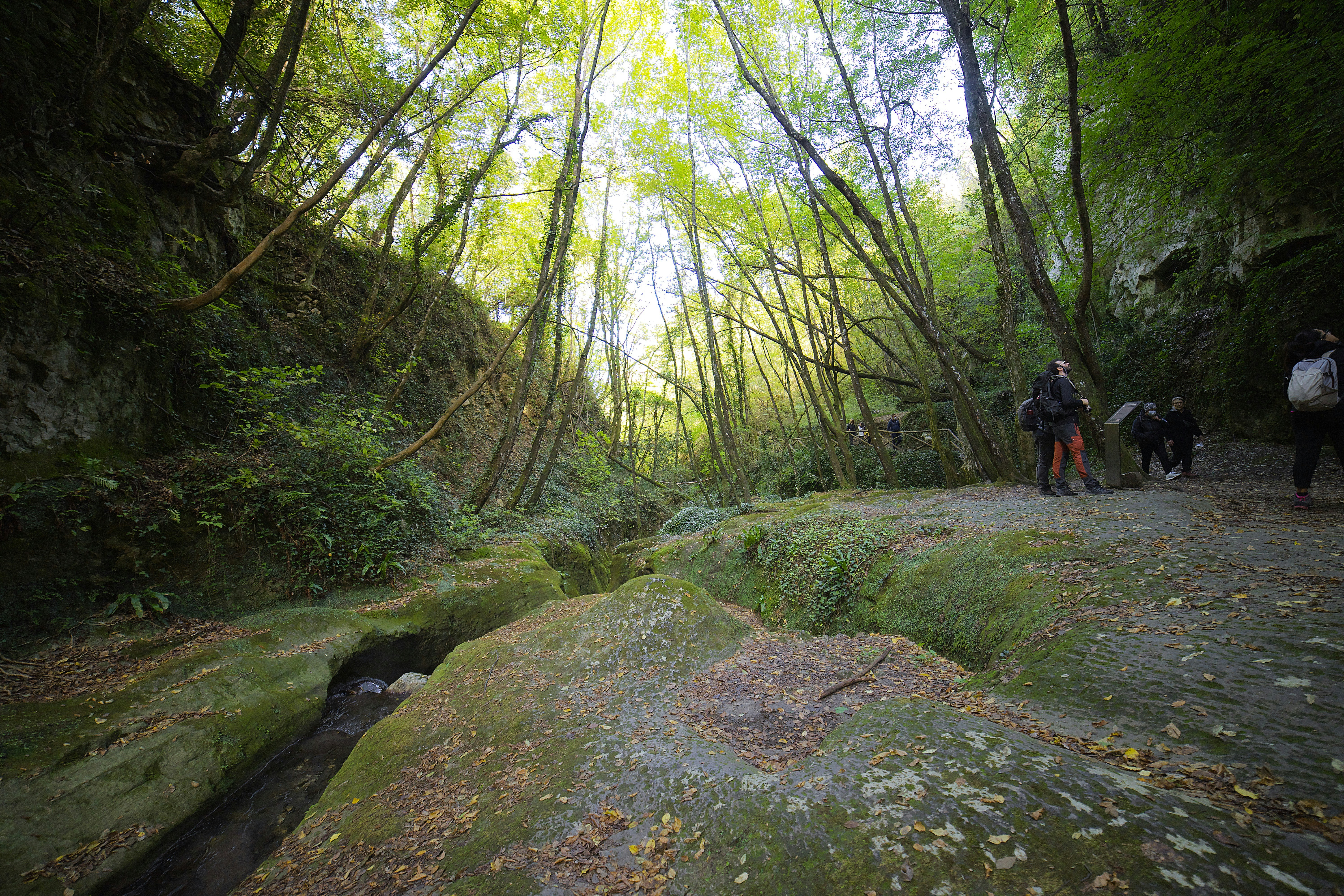 Photo by pf91_photography