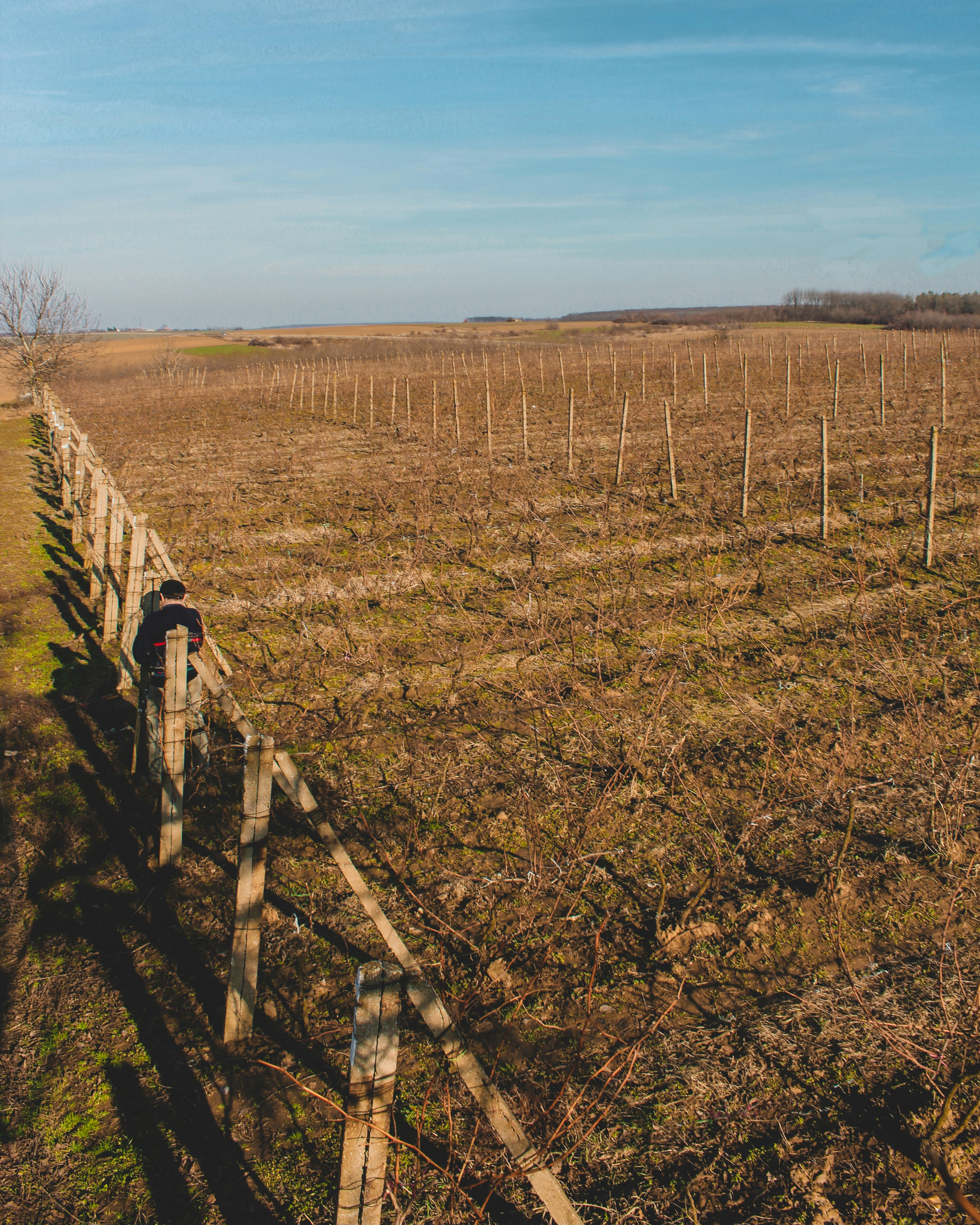 Photo by czapp_arpad