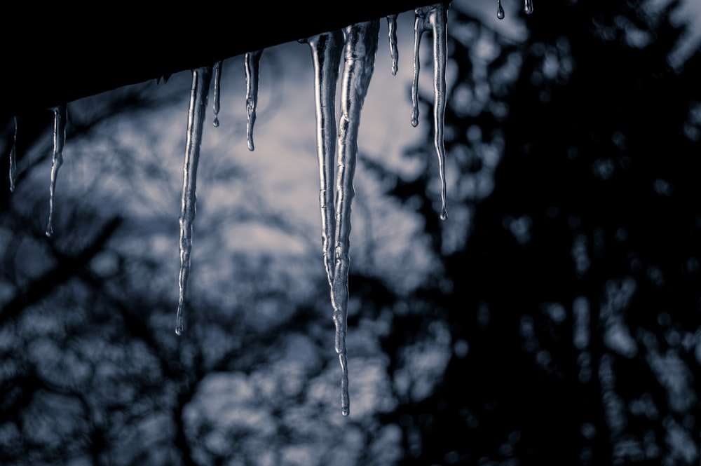 grayscale photo of water droplets