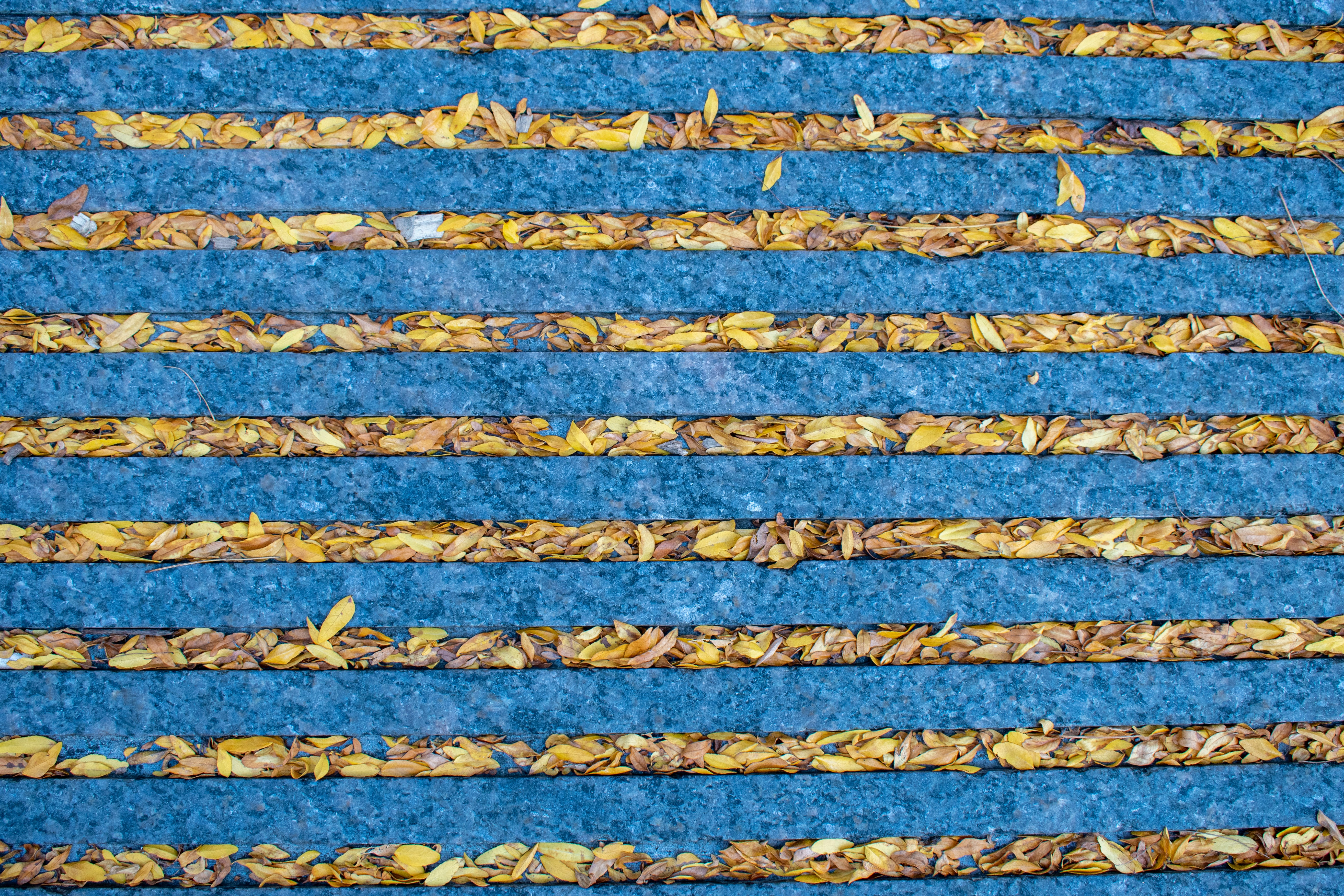 blue and white concrete wall