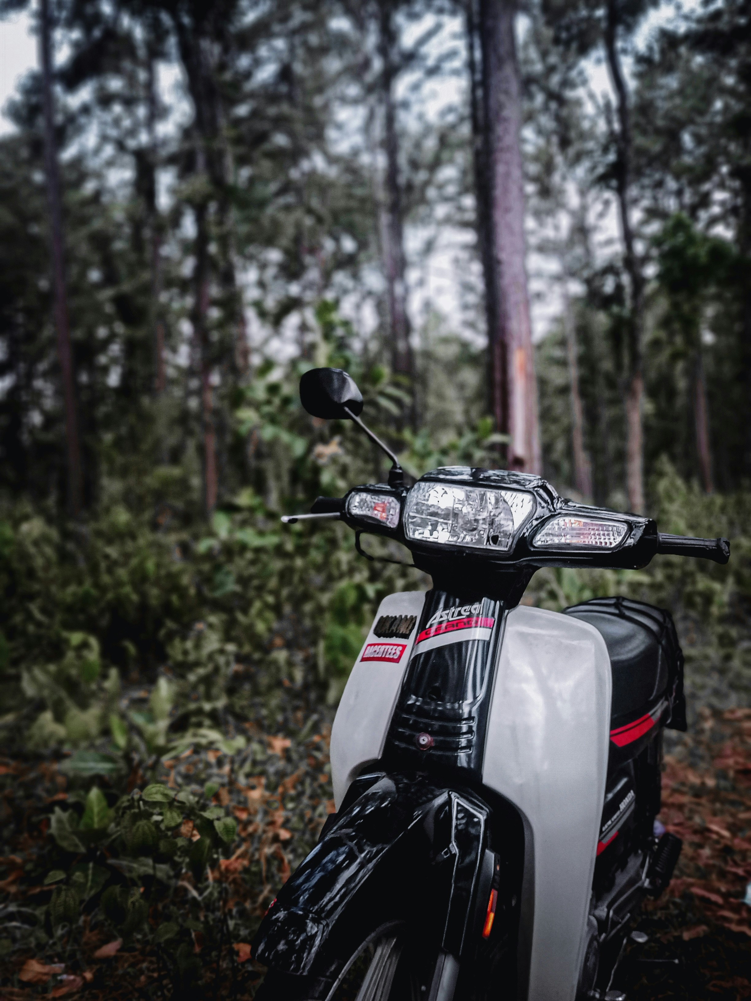 white and black motor scooter parked near green trees during daytime