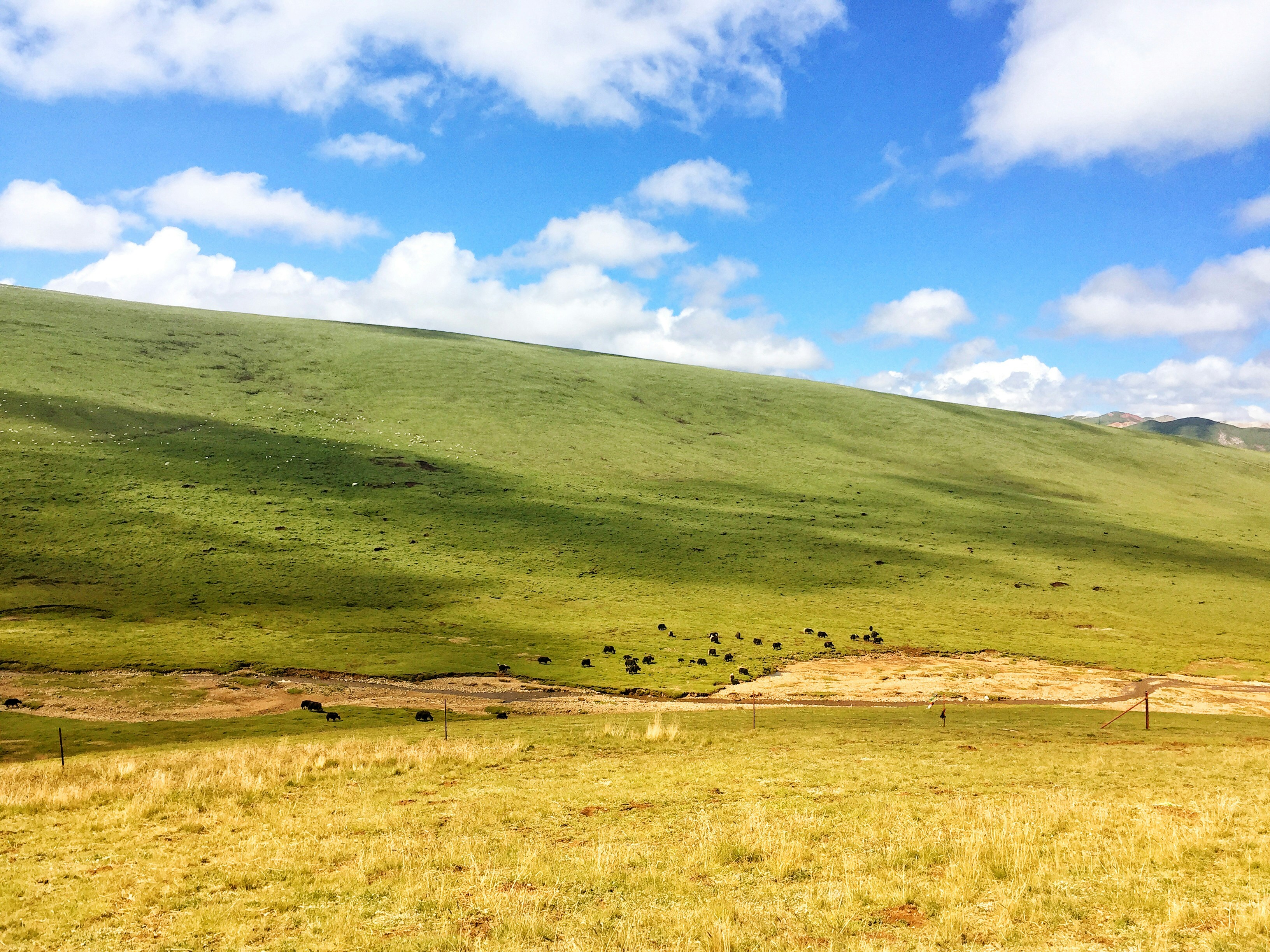 Photo by jogfeelingvi