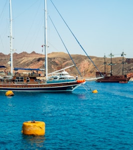 Several sailing ships are anchored in calm blue waters near rocky hills. The vessels have tall masts and wooden decks, suggesting a mix of classic and modern nautical design. The backdrop features arid, desert-like terrain with reddish-brown hills under a clear sky. Bright yellow buoys float on the water, adding a splash of color.