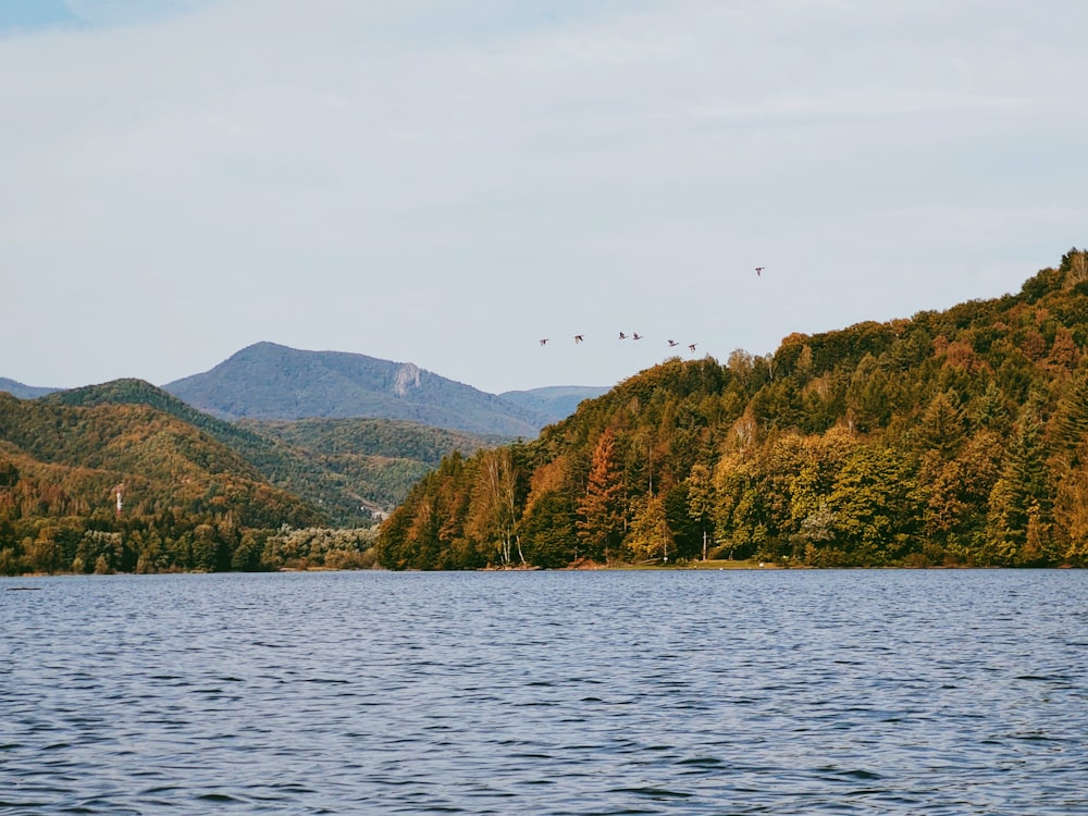 green and brown mountain beside body of water during daytime