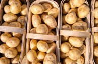 Freshly cut potatoes displayed in a rustic basket.