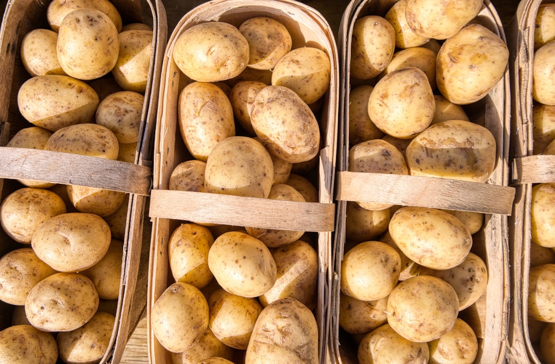 A close view of baskets of potatoes