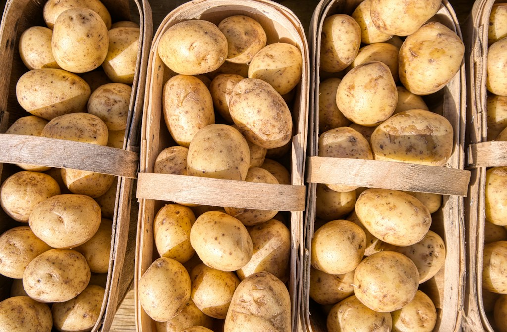 Premium Fresh Potatoes