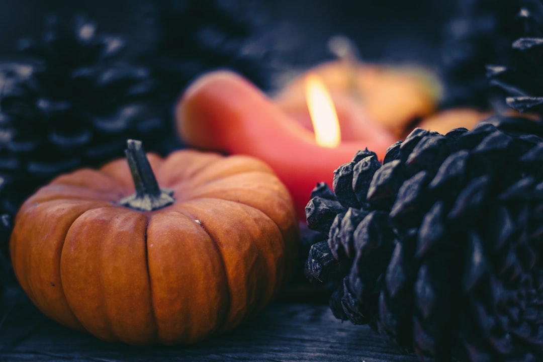 orange pumpkin with black pine cone on brown wooden table