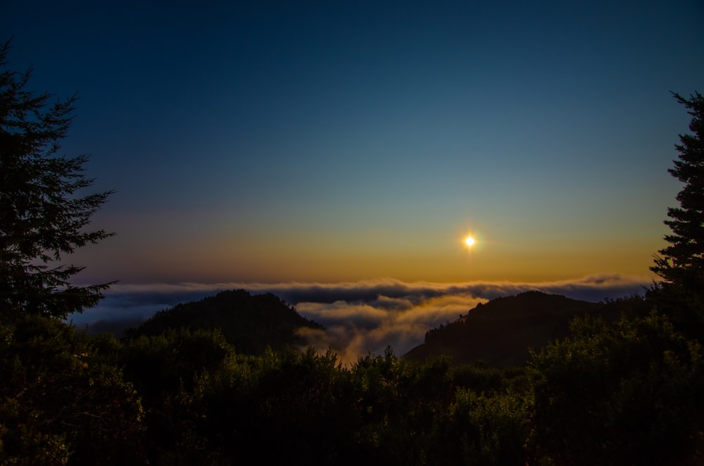 green trees on mountain during sunset