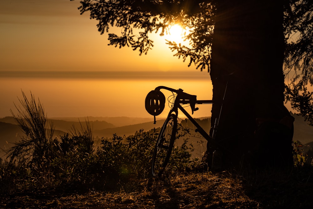 夕暮れ時の草原の自転車のシルエット