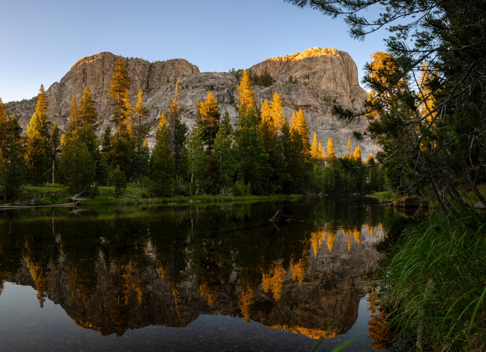 brown rocky mountain beside green trees and lake during daytime