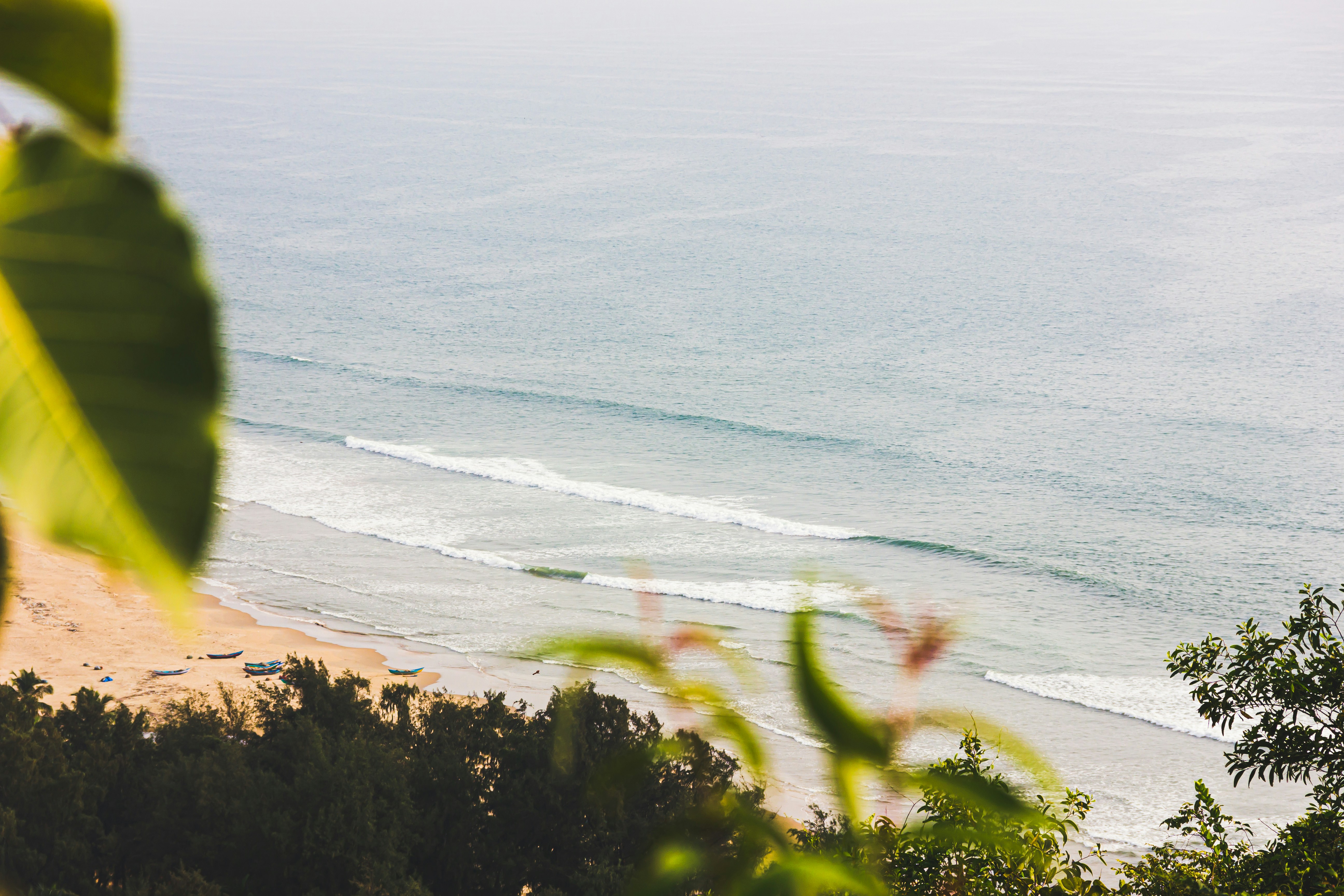 Photo by monicasinghdahiya