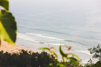 Close-up of gentle ocean waves rolling onto a sandy beach with light green foliage nearby.