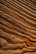 Abstract image featuring wavy, layered patterns resembling geological formations or sedimentary rock layers with a smooth, flowing texture and intermixed dark and light brown tones.
