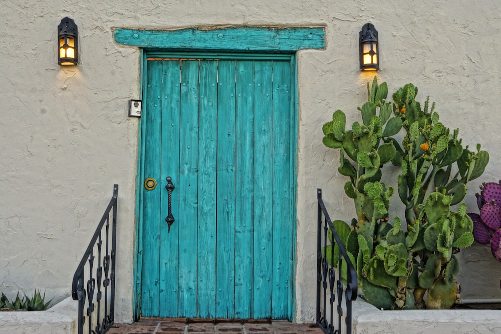 Porte en bois bleu à côté de la plante verte
