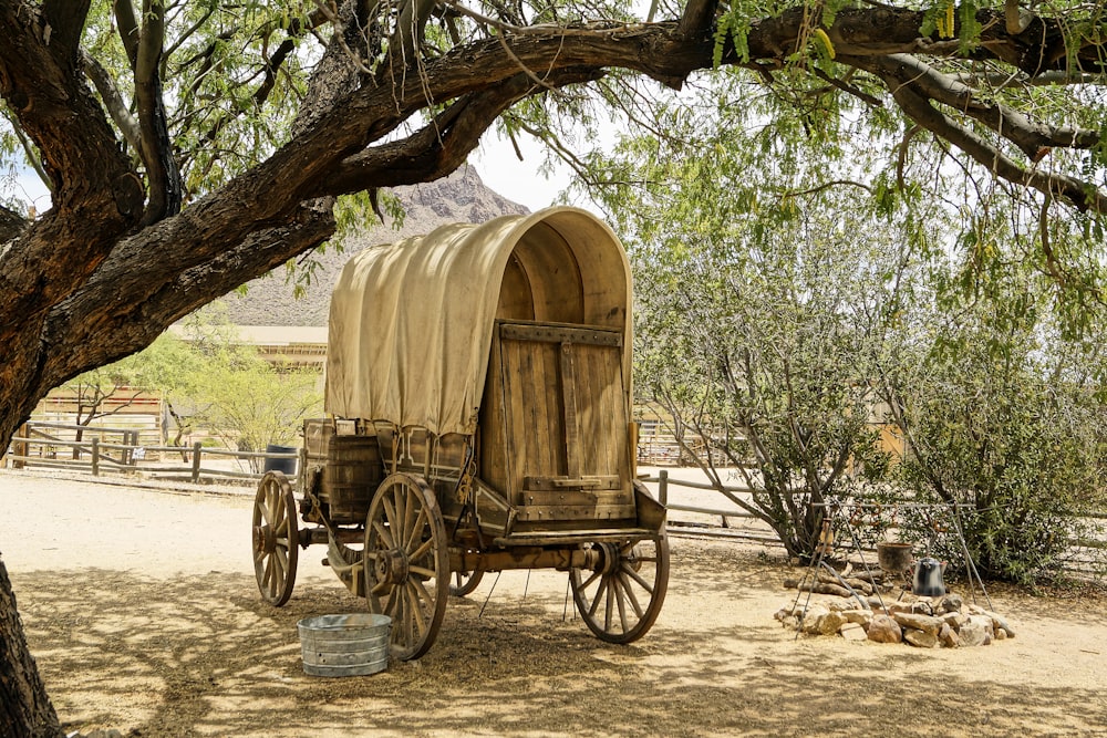 brown wooden carriage on brown sand during daytime