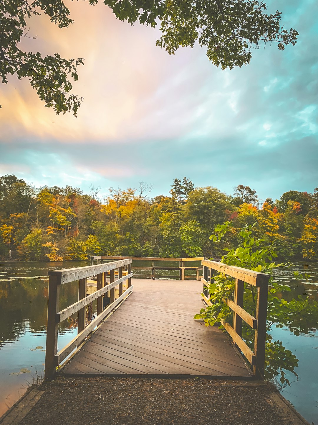 brown wooden dock on lake during daytime