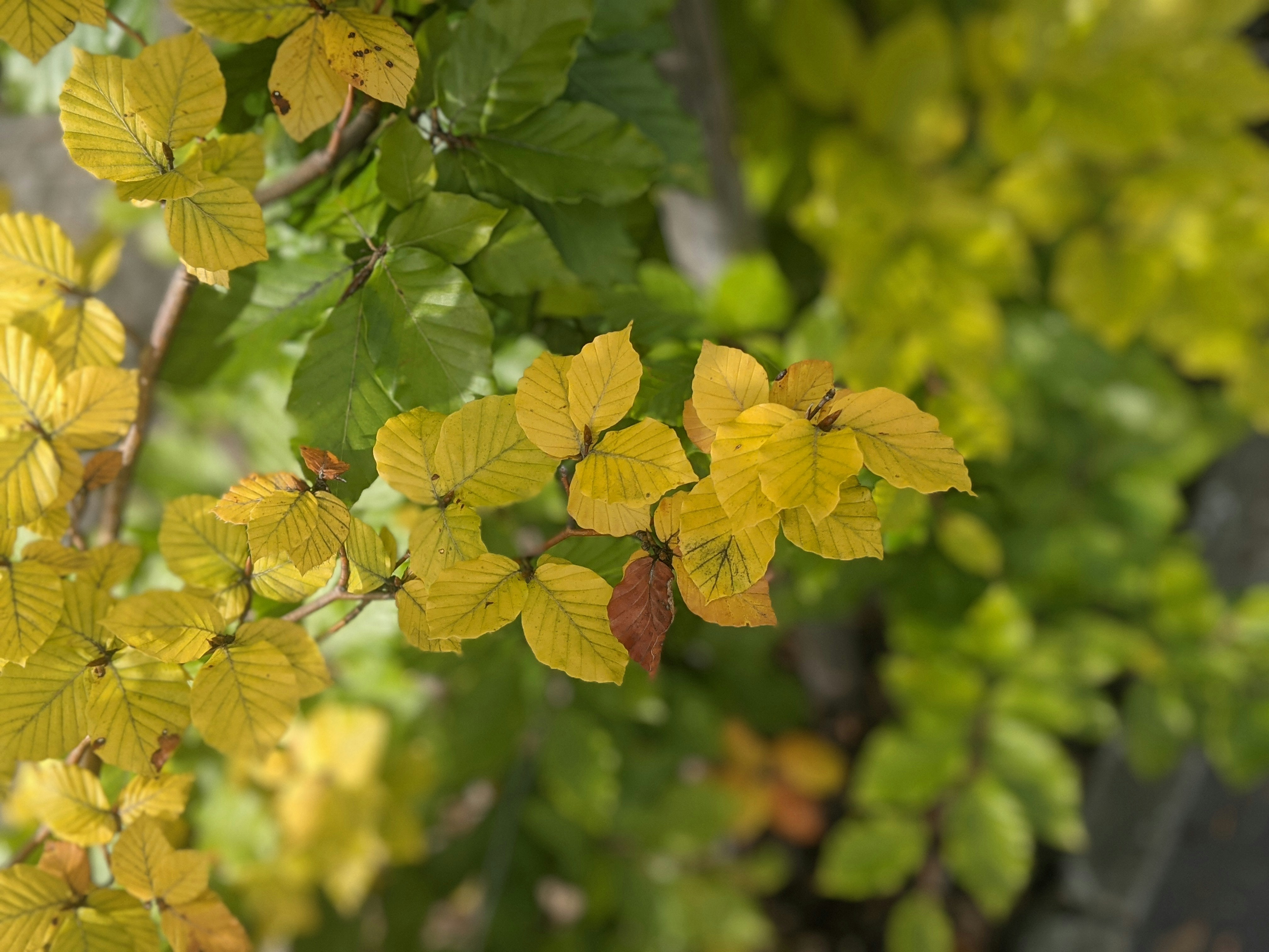 Photo by custom_project