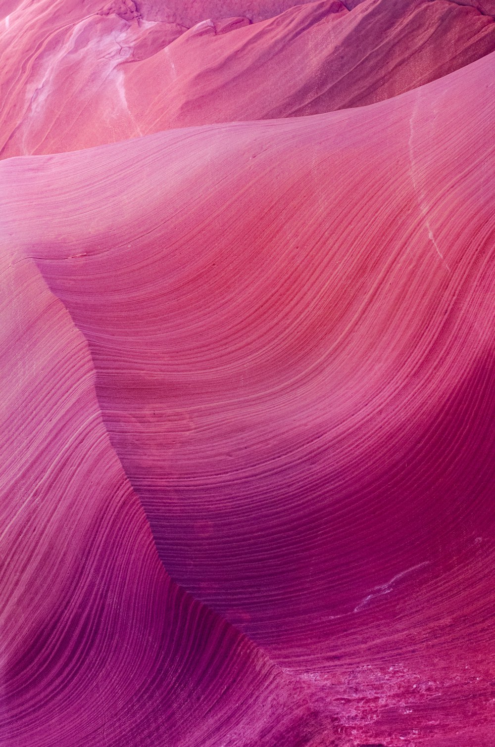 pink and white striped textile