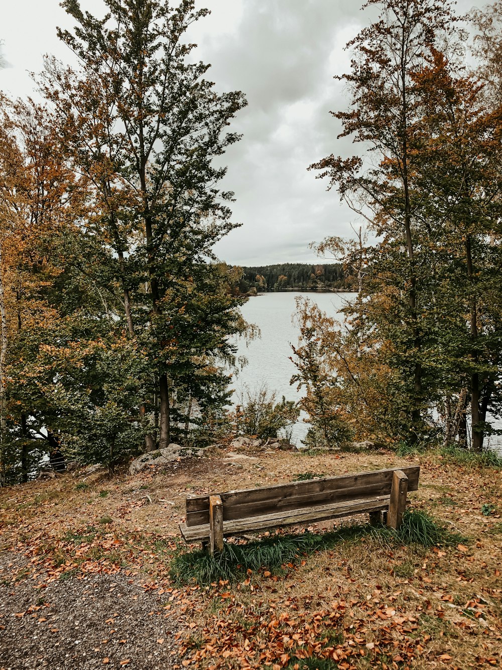 brown wooden bench near lake during daytime