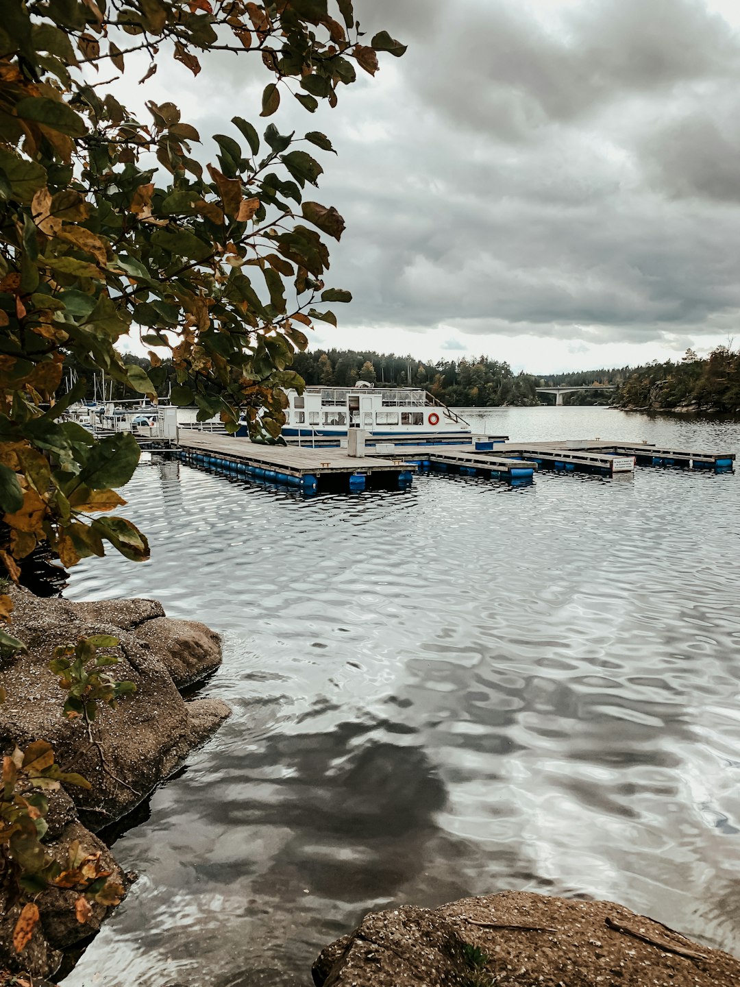 blue and white boat on water near green trees during daytime