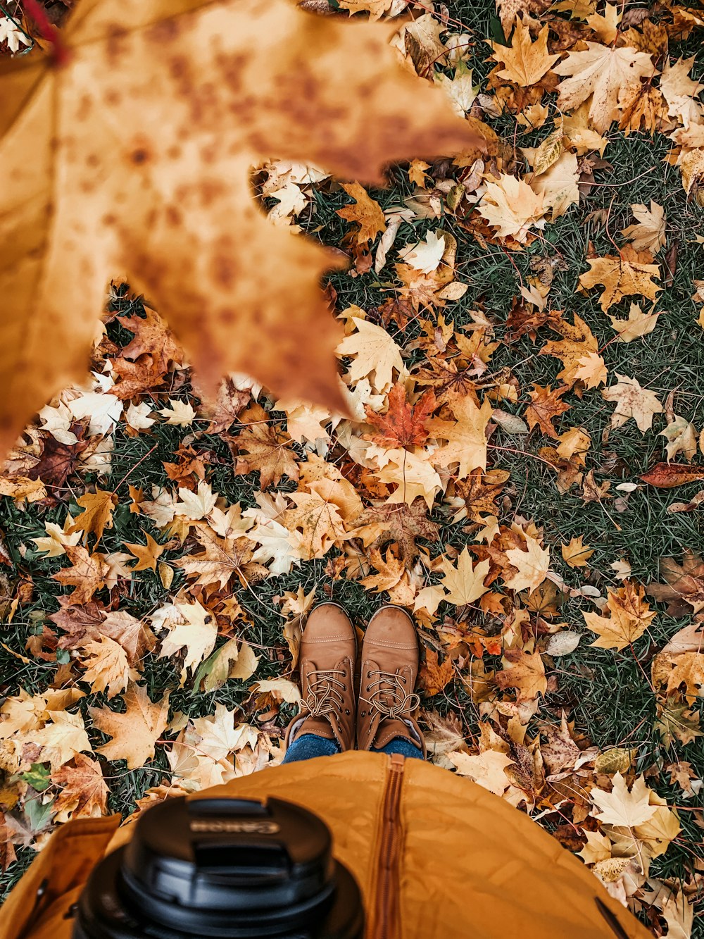 personne en pantalon marron debout sur des feuilles séchées