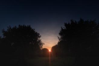 A serene sunset is framed by tall, dark trees on either side, casting the scene in silhouettes. The sky transitions from deep blue to warmer hues near the horizon, where the sun is partially visible, creating a peaceful, almost mystical ambiance.