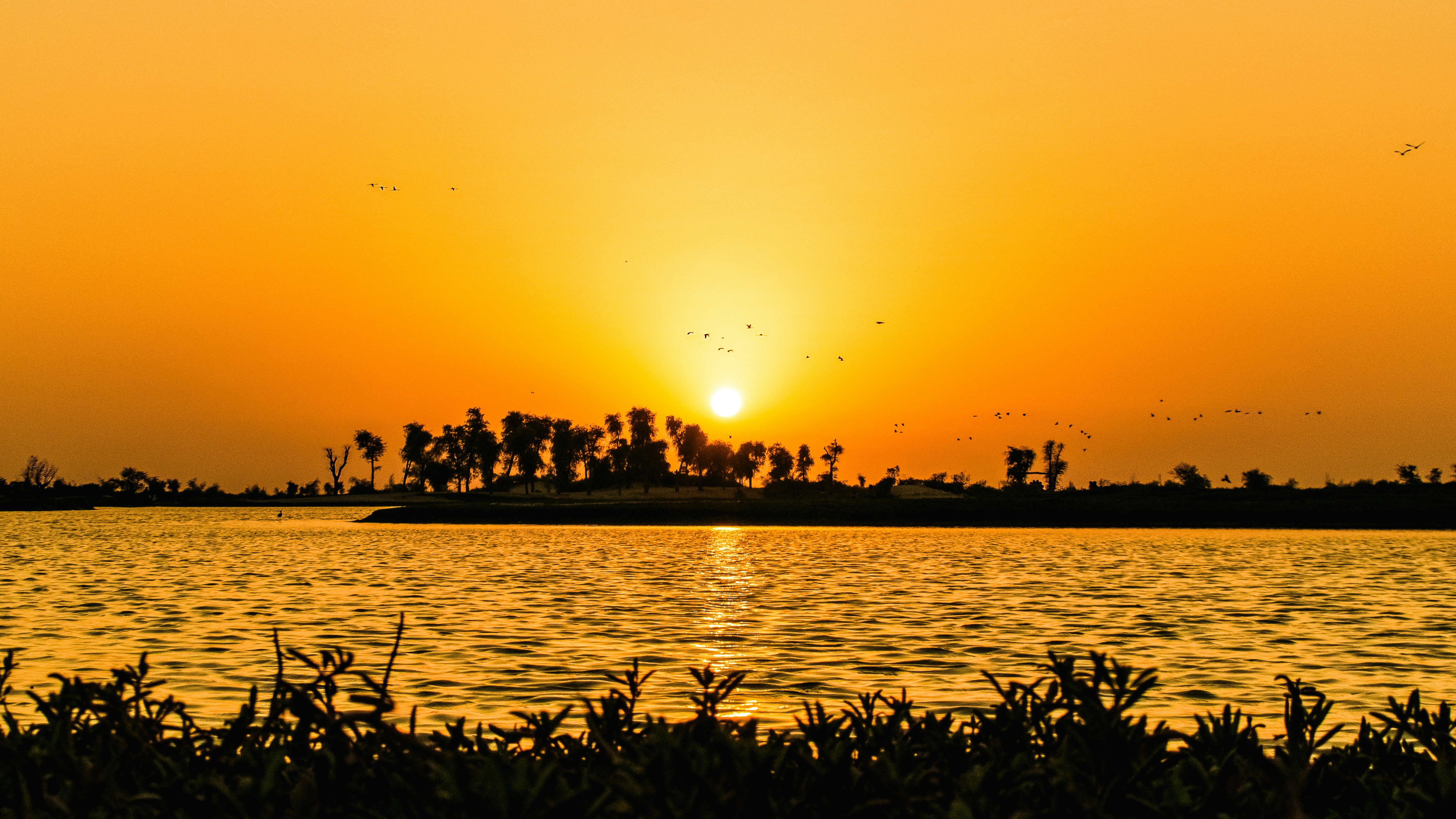 memorable experiences