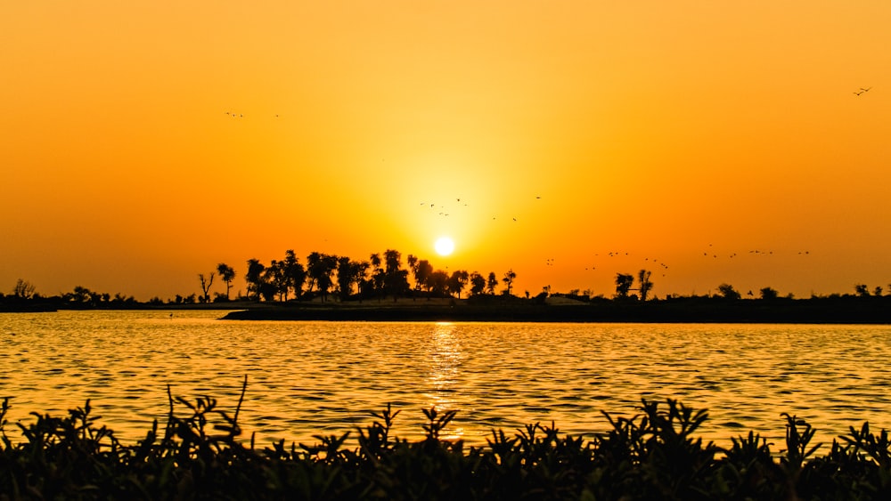 Silueta de pájaros volando sobre el mar durante la puesta del sol