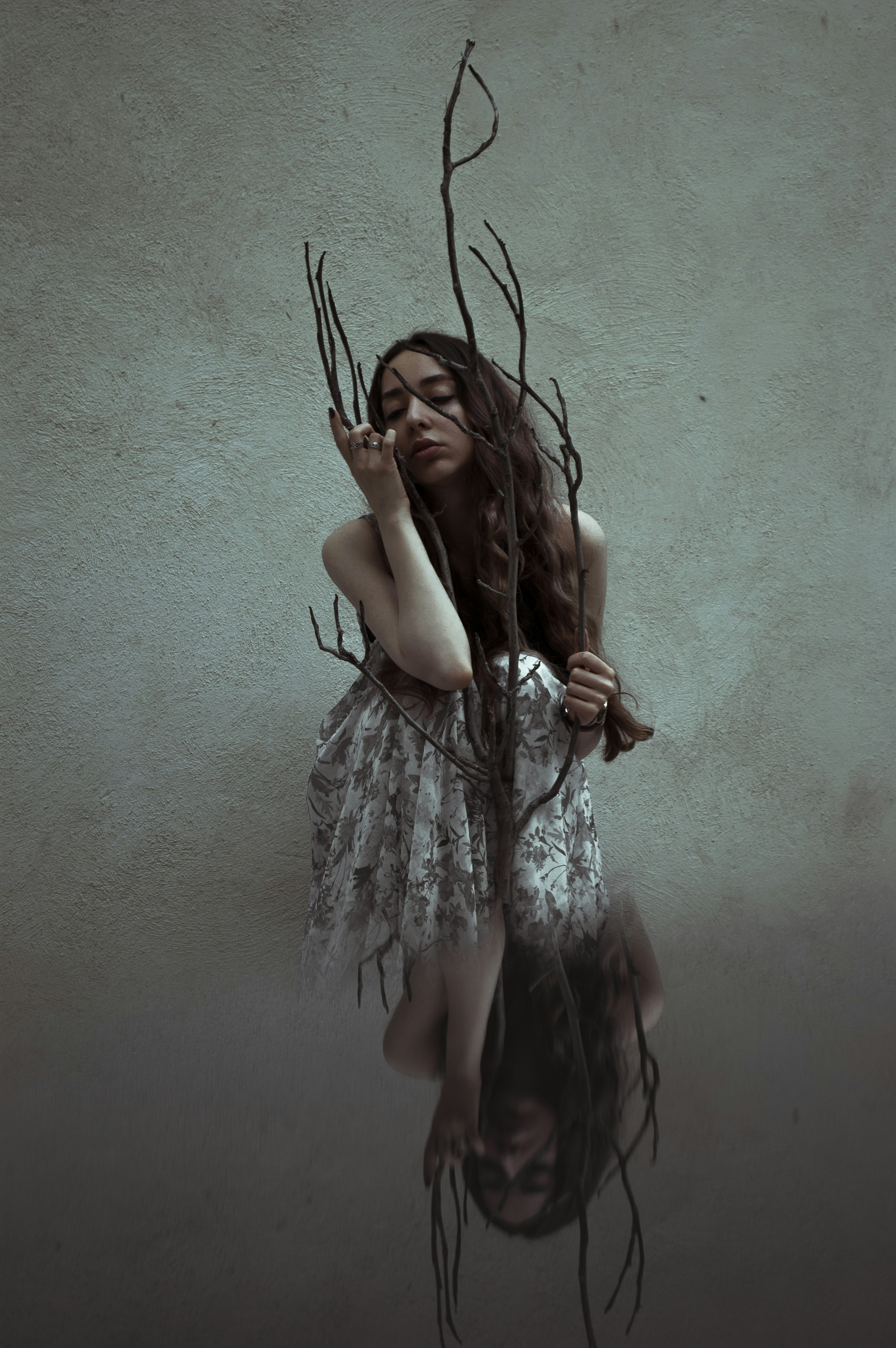 Photo by baranlotfollahi