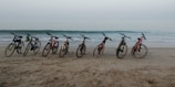 A group of bikes lined up on a coastal highway with the ocean in the background.