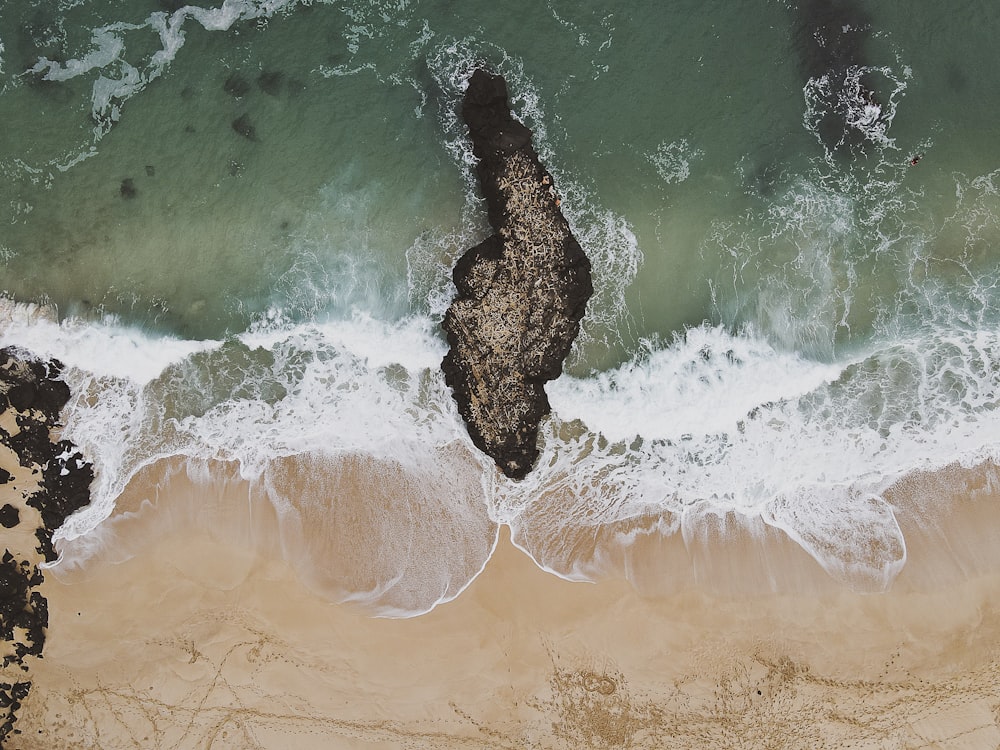 brown sand beach during daytime