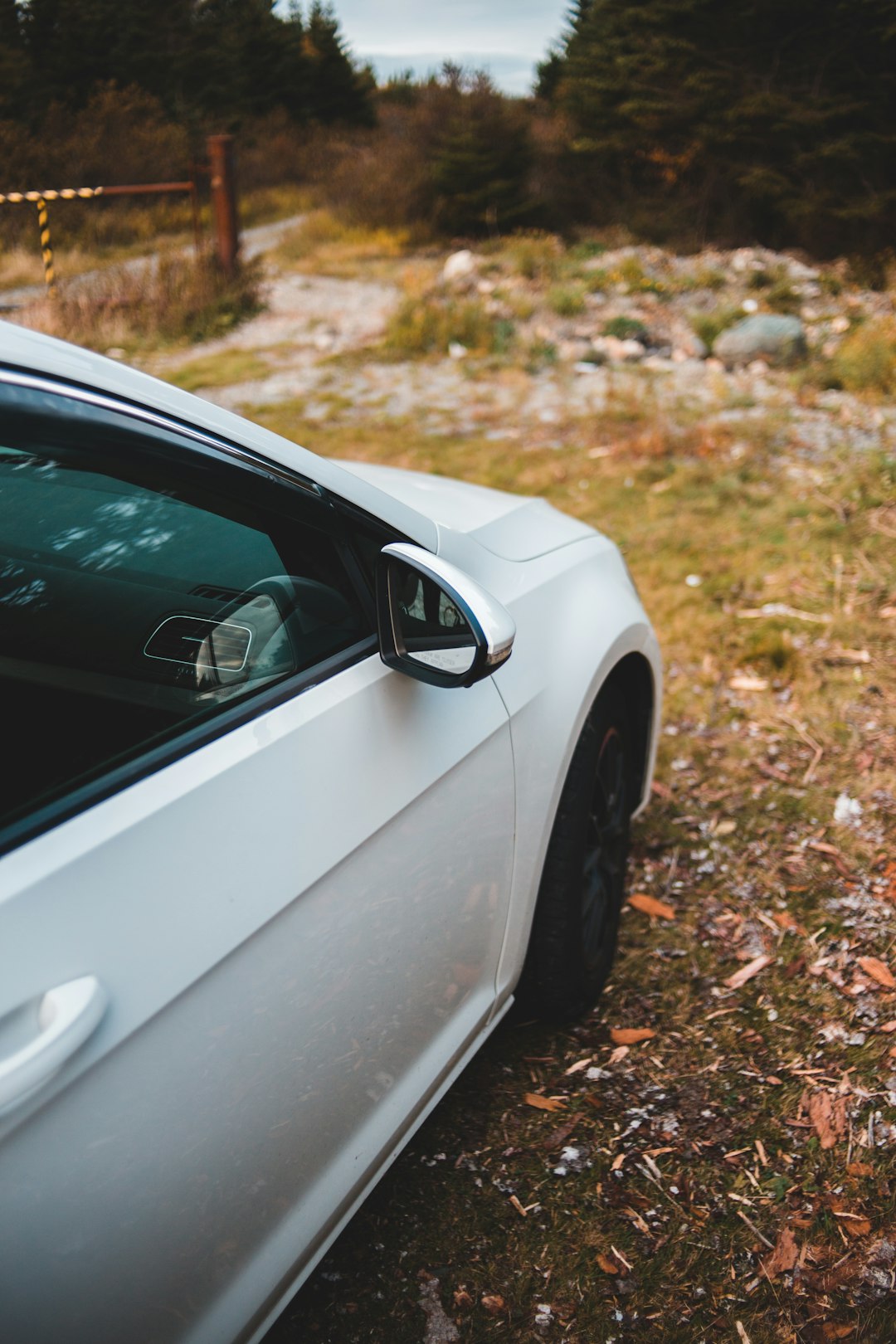 white car on brown dried leaves during daytime