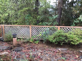 A wooden lattice fence stands in a backyard with dense green foliage, including various trees and bushes. In the foreground, there is a small solar lamp on a wooden post surrounded by stones and dry leaves scattered on the ground.