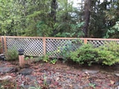 A wooden lattice fence stands in a backyard with dense green foliage, including various trees and bushes. In the foreground, there is a small solar lamp on a wooden post surrounded by stones and dry leaves scattered on the ground.