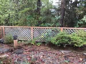 A wooden lattice fence stands in a backyard with dense green foliage, including various trees and bushes. In the foreground, there is a small solar lamp on a wooden post surrounded by stones and dry leaves scattered on the ground.