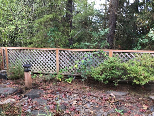 A wooden lattice fence stands in a backyard with dense green foliage, including various trees and bushes. In the foreground, there is a small solar lamp on a wooden post surrounded by stones and dry leaves scattered on the ground.