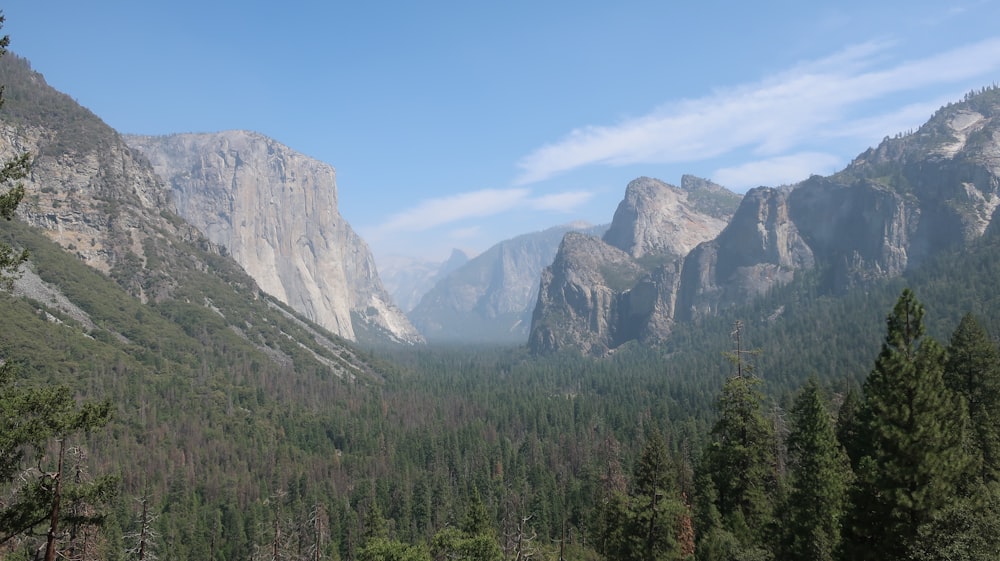 green trees and mountains under blue sky during daytime