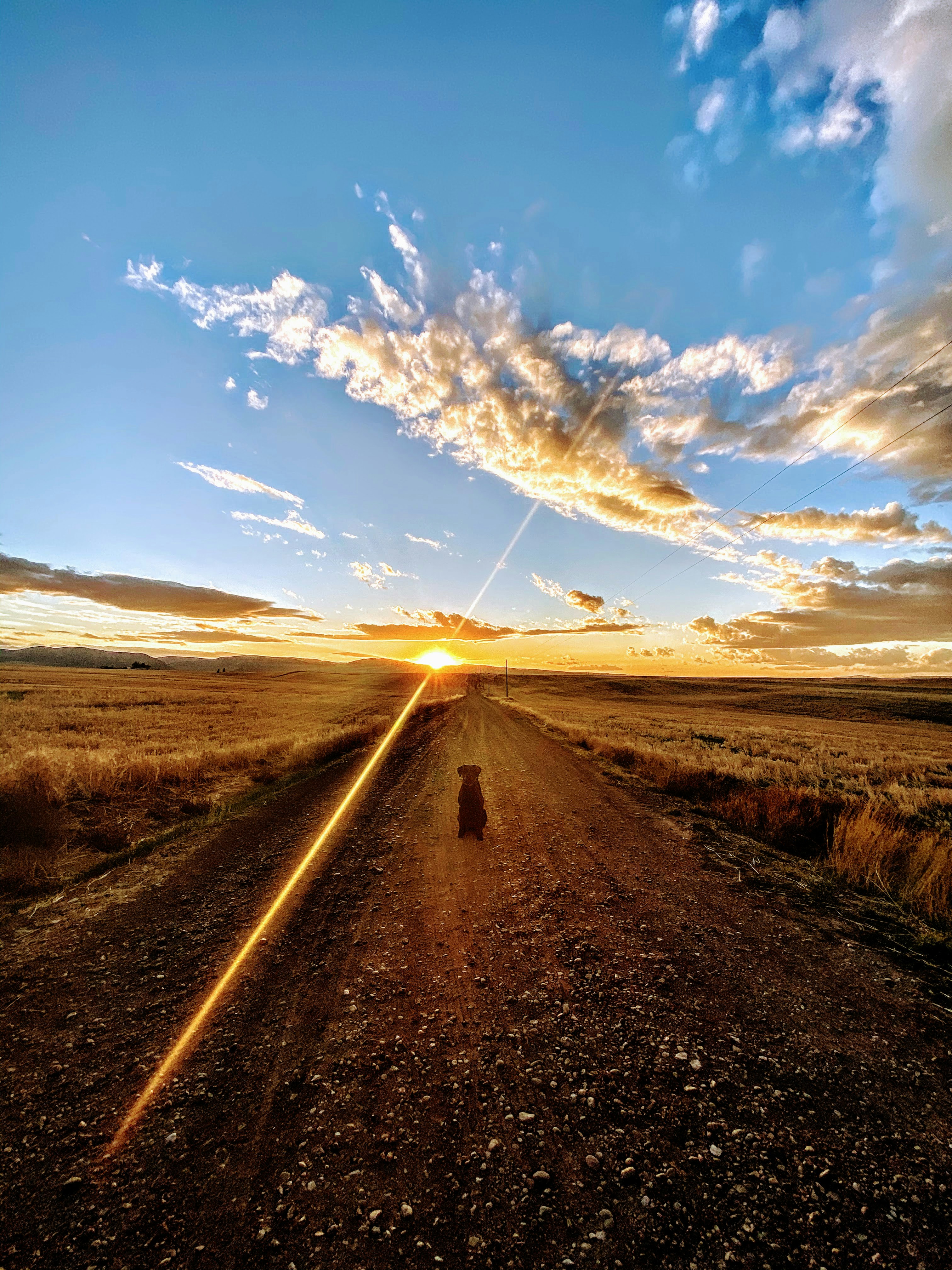 Sia Gebhard (@sialgebhard) | Unsplash Photo Community, image size:3000x4000