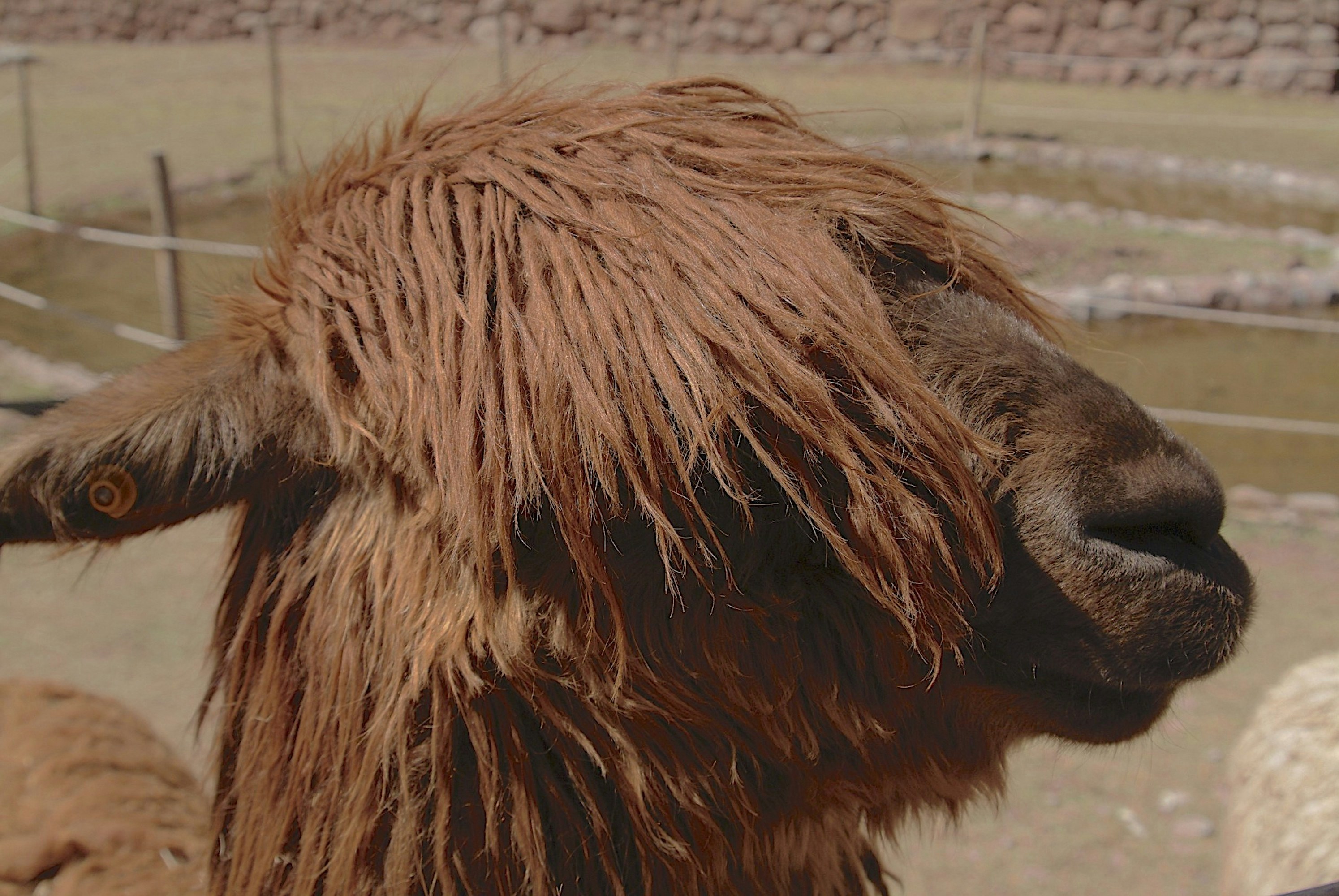 Photo by alanbraeley