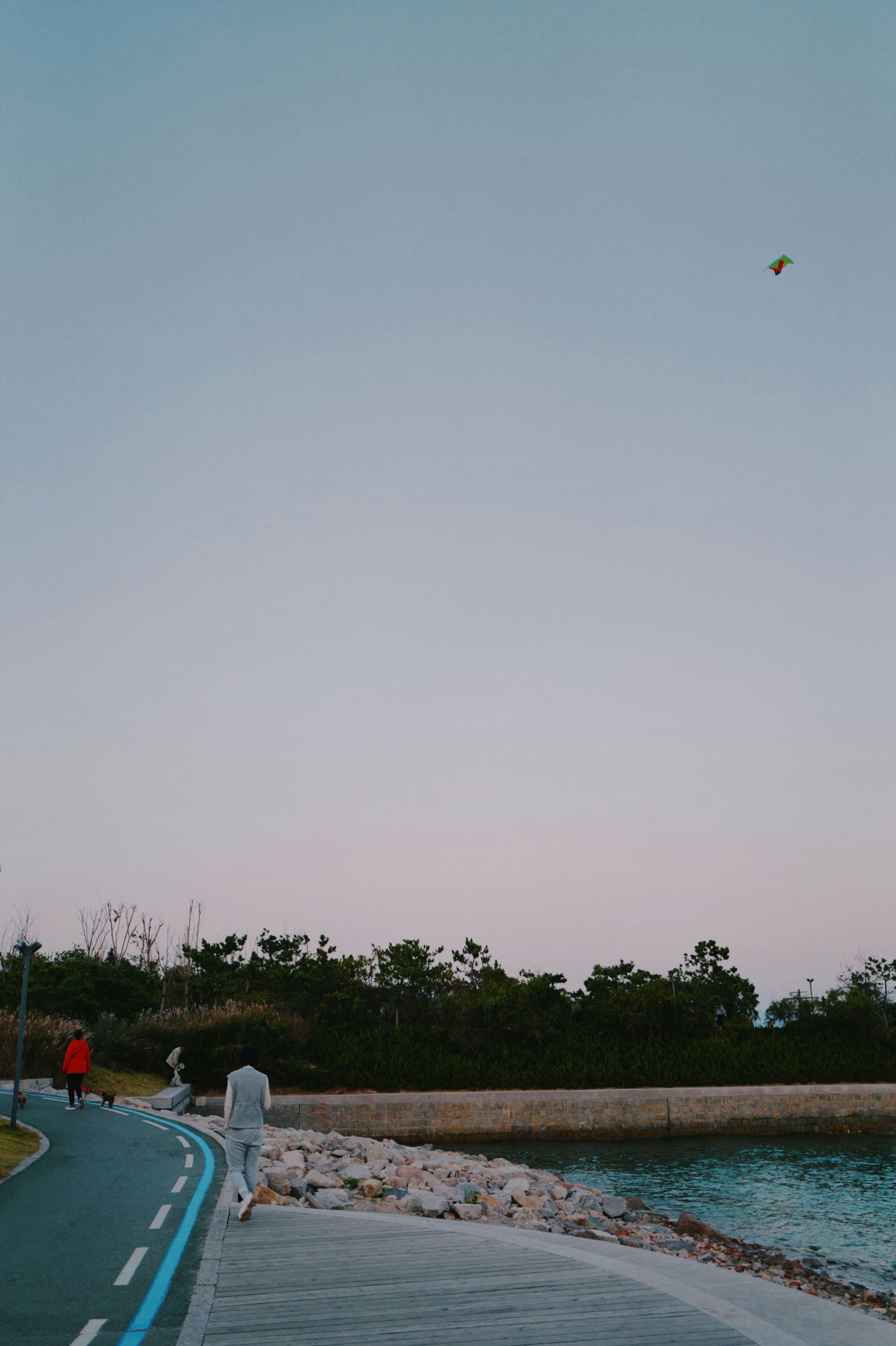 People walking on grass