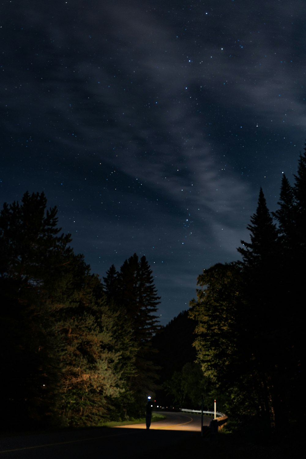 green trees under blue sky during night time