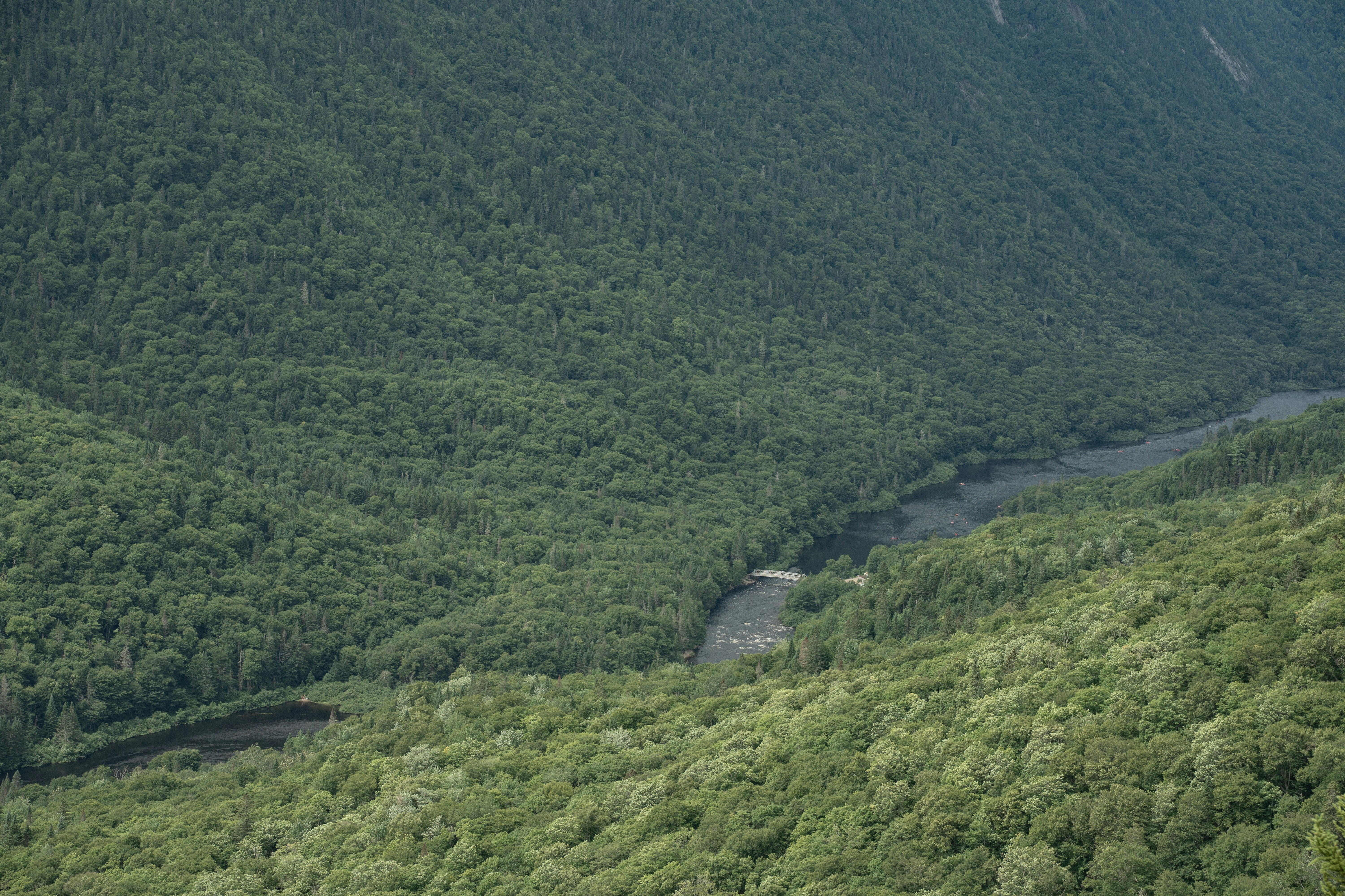 Photo by thomaslrdeau